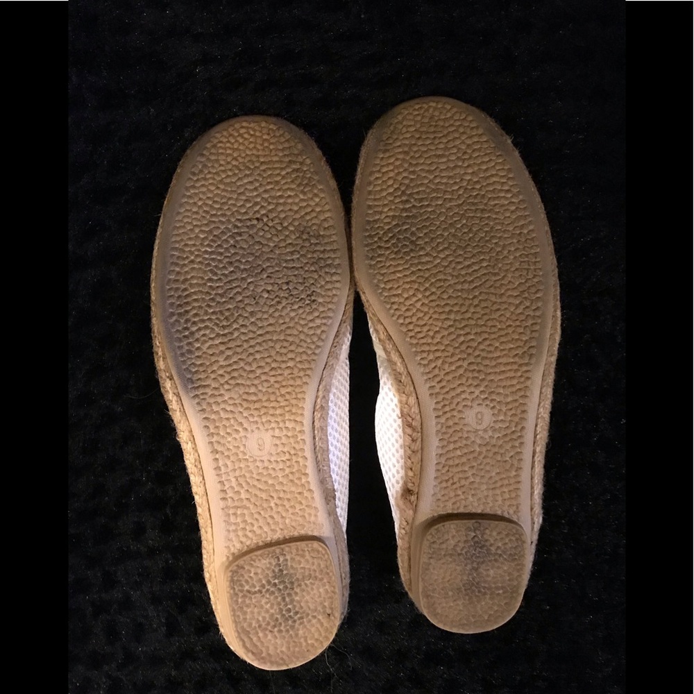 Wanted Flats - Picture 4 of 6